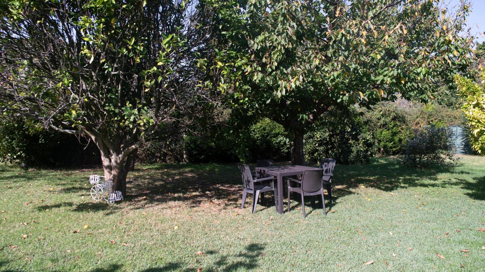 Apartamentos Rias Baixas Moaña Dış mekan fotoğraf